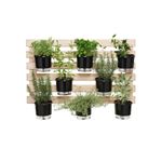 trelica-p-vasos-raiz-madeira-60x100cm-ret-horizontal-902-102262-102262
