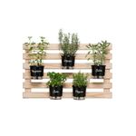 trelica-p-vasos-raiz-madeira-60x100cm-ret-horizontal-902-102262-102262