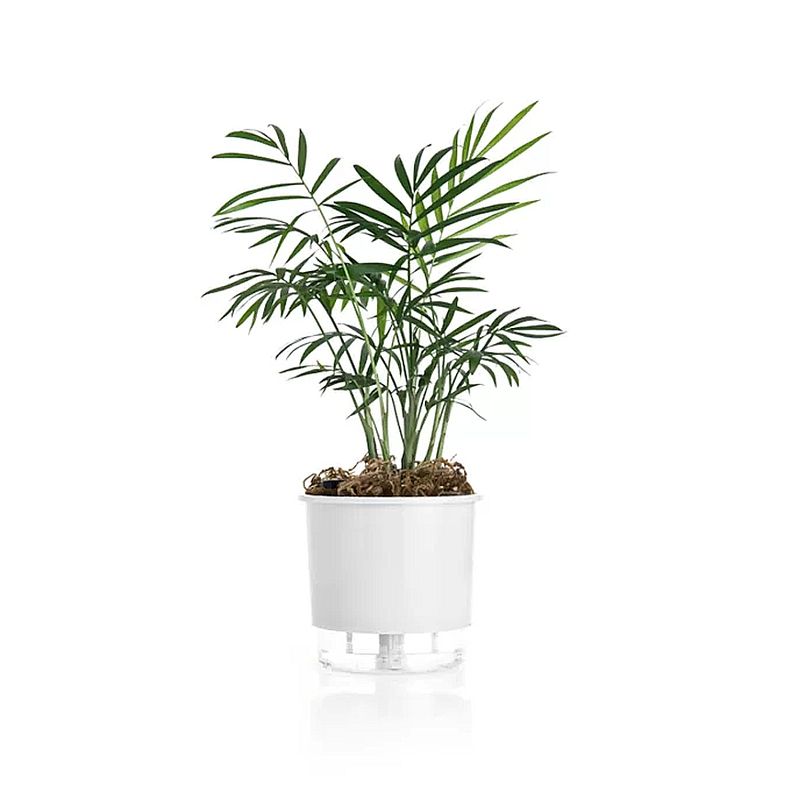 vaso-autoirrigavel-raiz-rain-bow-branco-02-126x114cm-203_102228