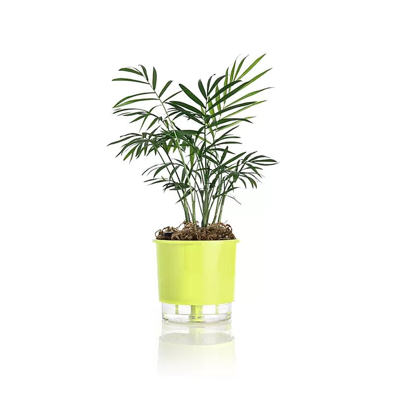 vaso-autoirrigavel-raiz-rain-bow-verde-02-126x114cm-209_102230