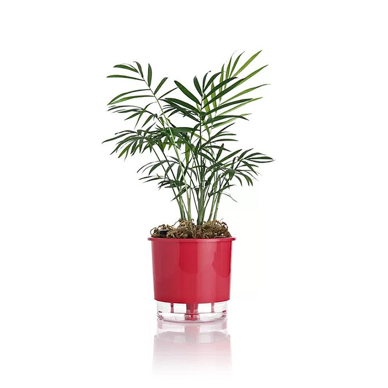 vaso-autoirrigavel-raiz-rain-bow-vermelho-02-126x114cm-211_102231