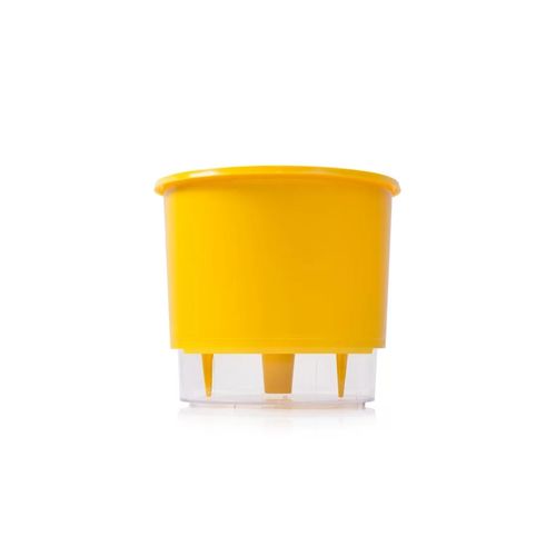 Vaso Autoirrigavel Raiz Rain Bow Amarelo 03 16X14,3cm 301