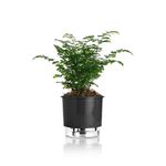 vaso-autoirrigavel-raiz-rain-bow-preto-03-16x143cm-306_102234
