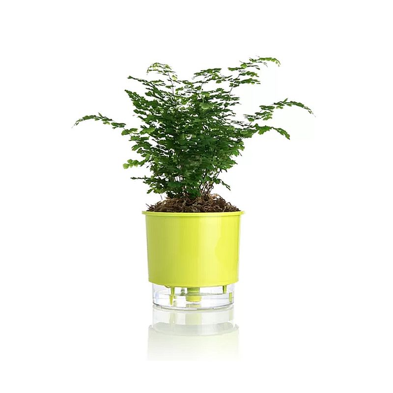 vaso-autoirrigavel-raiz-rain-bow-verde-03-16x143cm-309_102235