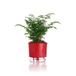 vaso-autoirrigavel-raiz-rain-bow-vermelho-03-16x143cm-311_102236