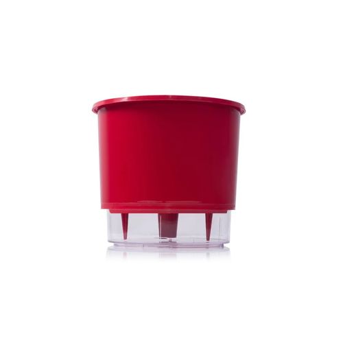 Vaso Autoirrigavel Raiz Rain Bow Vermelho 03 16X14,3cm 311
