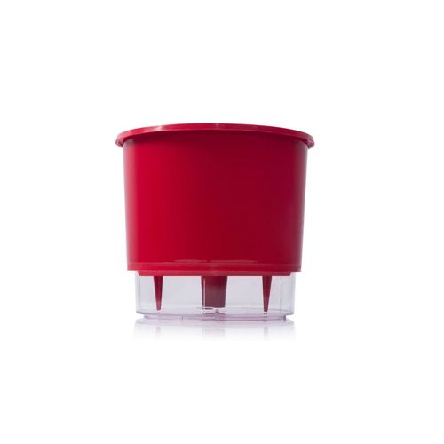 Vaso Autoirrigavel Raiz Rain Bow Vermelho 04 21,7X19cm 411