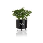 vaso-autoirrigavel-raiz-salsa-preto-03-16x143cm-324_102246