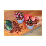 cascas-de-pinus-tramontina-p-pol-300gr-91402-003-114116-114116