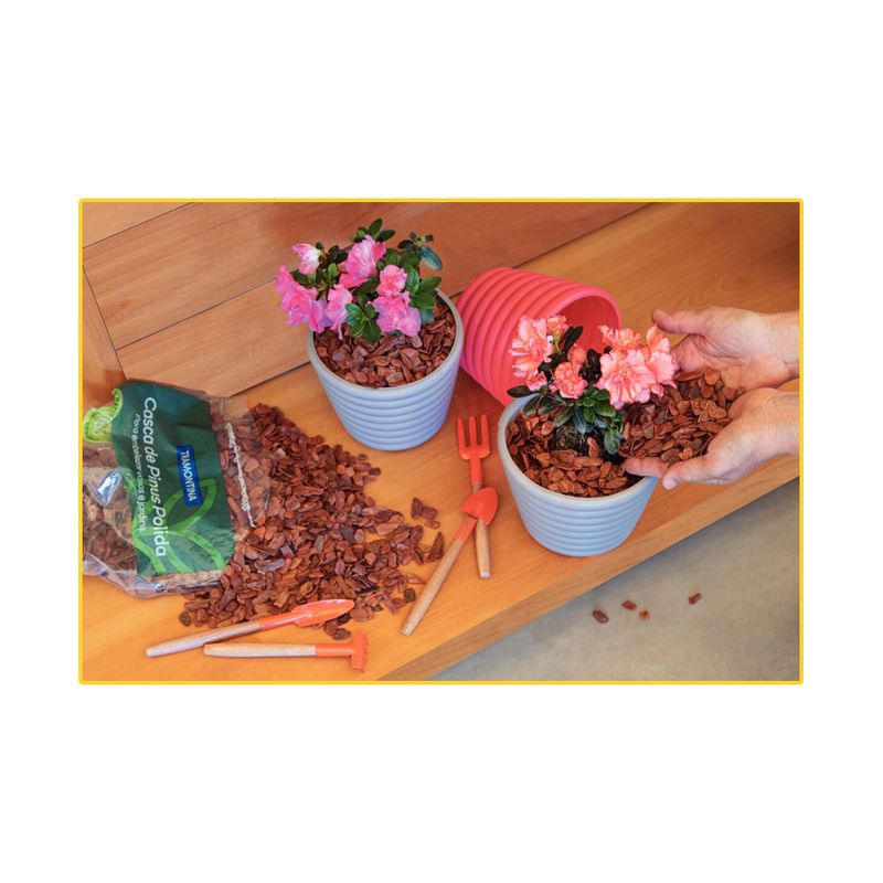 cascas-de-pinus-tramontina-p-pol-300gr-91402-003-114116-114116