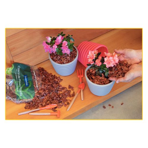 Cascas de Pinus Tramontina M Pol 300Gr 91403/003