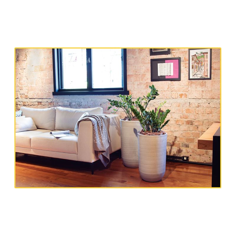 cascas-de-pinus-tramontina-g-pol-1kg-91404-001-114118-114118