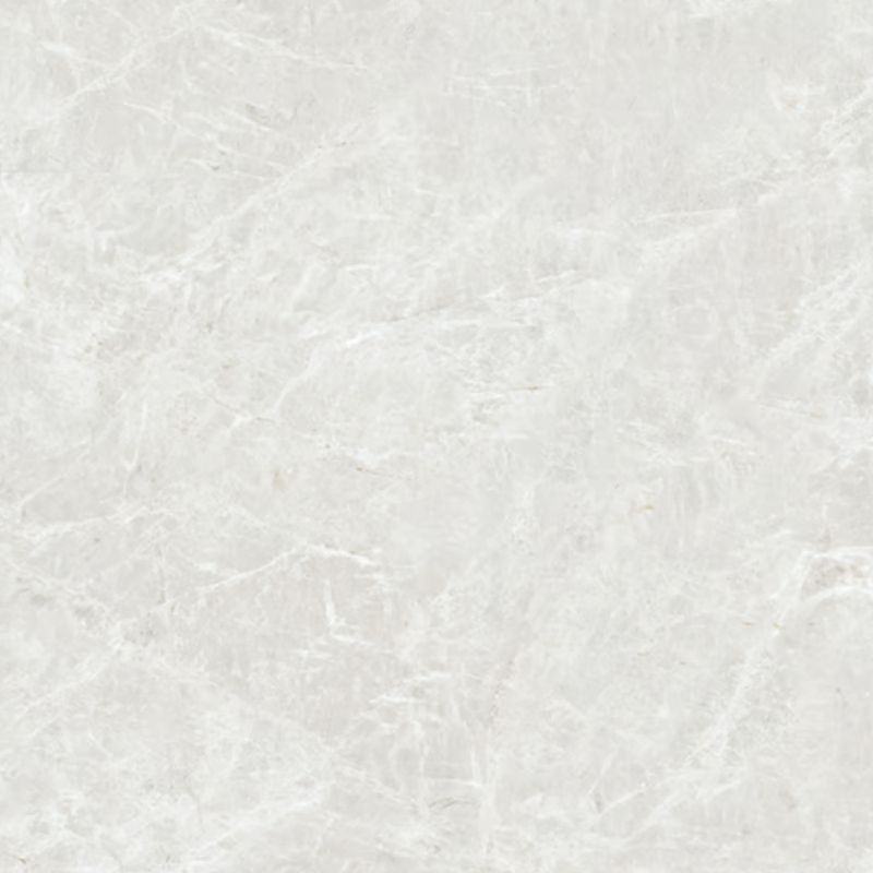 piso-porc-savane-91x91-perla-pol-116927-116927