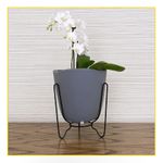 vaso-floridis-tryas-sup-metal-mad-17x18-grafit-10160594-0750-108831-108831