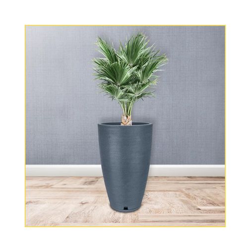 Vaso Floridis Amsterda Grafiato 35X65 Preto 10160528