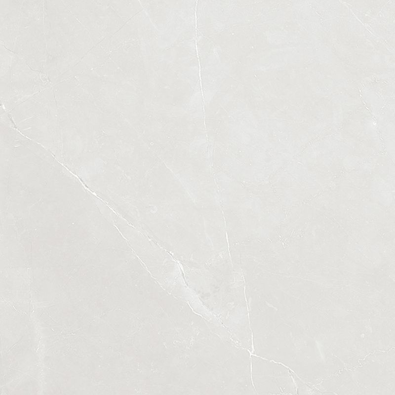 piso-porc-helena-83x83-torino-grigio-ac-hac-830060-117708-117708