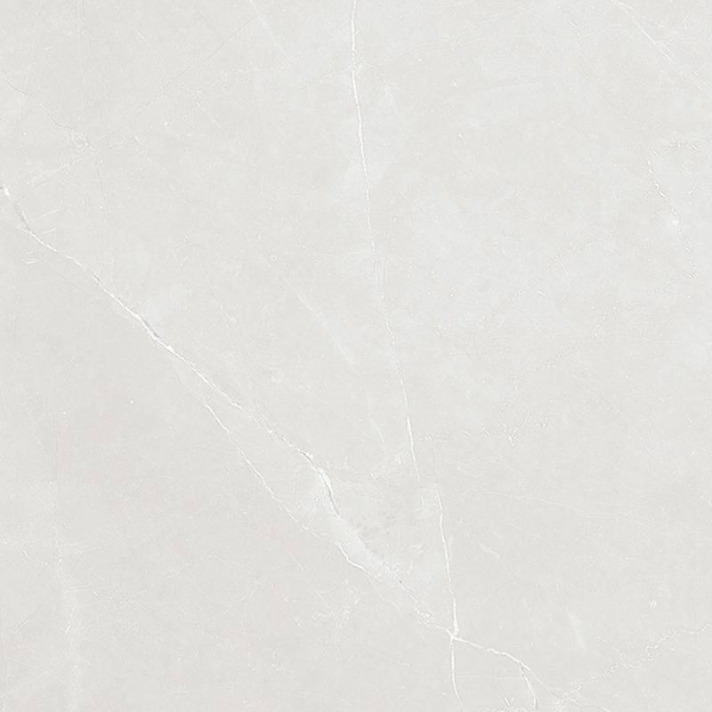 piso-porc-helena-83x83-torino-grigio-ac-hac-830060-117708-117708