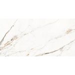 piso-porc-elizabeth-60x120-capraia-pol-118392-118392