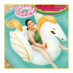 boia-mor-pegasus-grande-001982-118803-118803