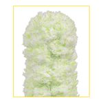 espanador-bettanin-novica-curto-microfibra-1x12-109-119227-119227