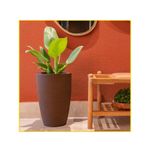 vaso-vasap-cone-riscato-45-argila-5173-118996-118996