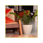 vaso-vasap-cone-baixo-28-areia-9075-119000-119000