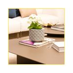 vaso-vasap-reconcavo-30-mini-cinza-8247-119006-119006