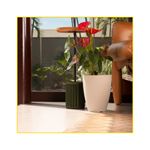 vaso-vasap-vietnamita-31-areia-6816-119013-119013
