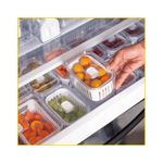 organizador-ou-clear-fresh-065l-c-cesto-of550nt-118719-118719
