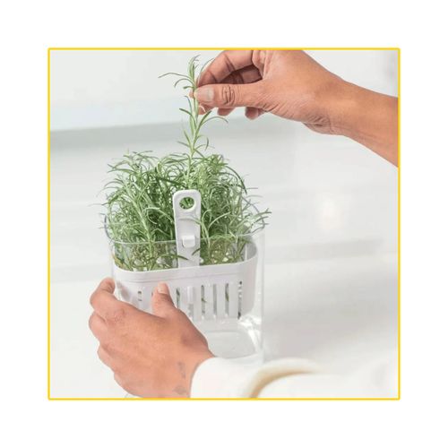 Organizador de Temperos OU Clear Fresh 1,5 Litros OF800NT