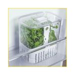 organizador-de-temperos-ou-clear-fresh-15l-of800nt-118720-118720