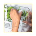 organizador-de-temperos-ou-clear-fresh-23l-of900nt-118721-118721