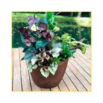 vaso-palash-copacabana-bowl-30x16cm-camurca-r-0380-030-016-102115-102115