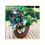 vaso-palash-copacabana-bowl-43x17cm-rusty-r-0380-043-017-102128-102128
