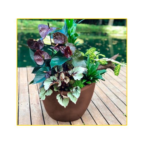 Vaso Palash Copacabana Bowl 43X17cm Rusty R.0380.043.017