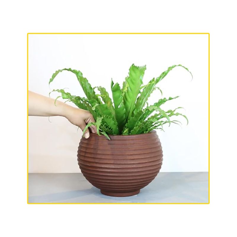 vaso-palash-bromelia-32x32cm-rusty-r-0400-032-032-102134-102134