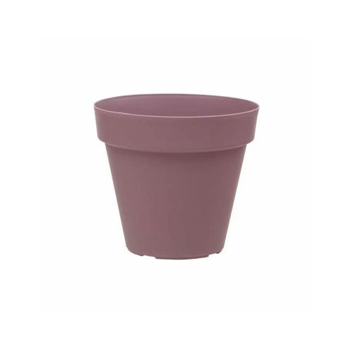 Vaso Palash Sampa 14X13cm Violeta I.Samp.014.013