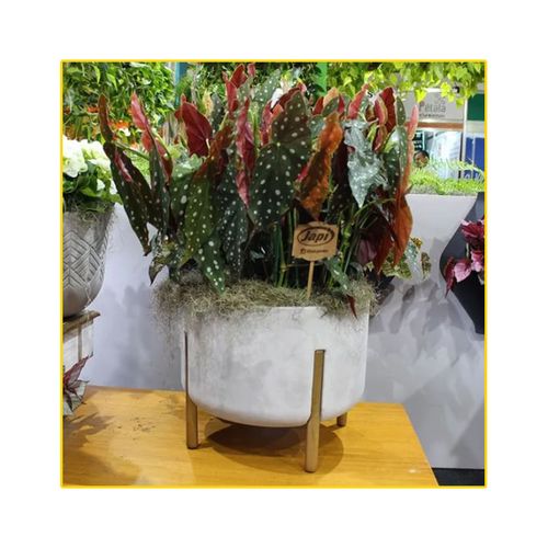 Vaso Japi Cilind. Decore Cimento Queimado 44X44X36cm JVCDCQ4