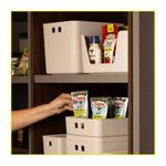 cesto-organizaor-paramount-26x20x8cm-fly-35lts-creme-4577-119798-119798