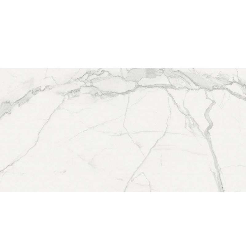 piso-porc-elizabeth-60x120-statuario-classico-pol-119488-119488