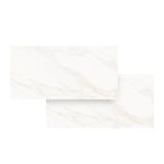 piso-porc-eliane-60x120-venus-alpe-ac-8062684_120257