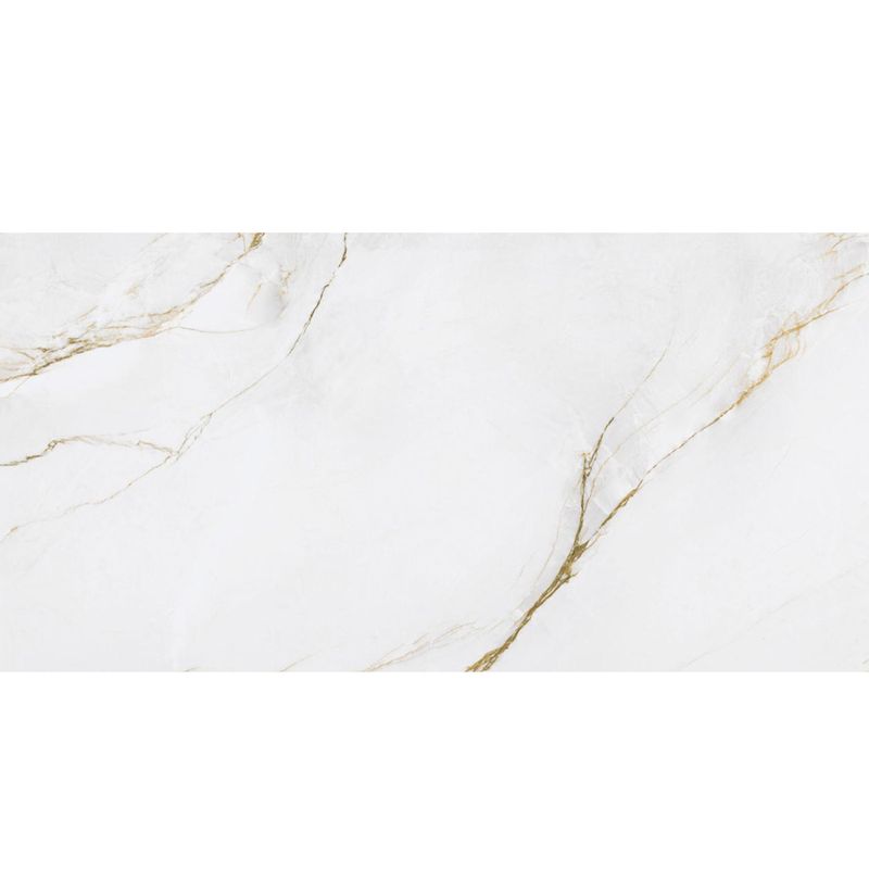 piso-porc-elizabeth-60x120-mont-serrat-ac-120316-120316