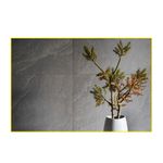 piso-porc-eliane-90x90-cite-ita-ardosia-carbono-mate-8058143-118333-118333
