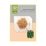 semente-jilo-isla-morro-grande-verde-escuro-5gr-5728-161-31-114371-114371