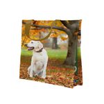 sacola-37x18x35-reutilizavel-bompack-eco-varios-modelos-114334-114334