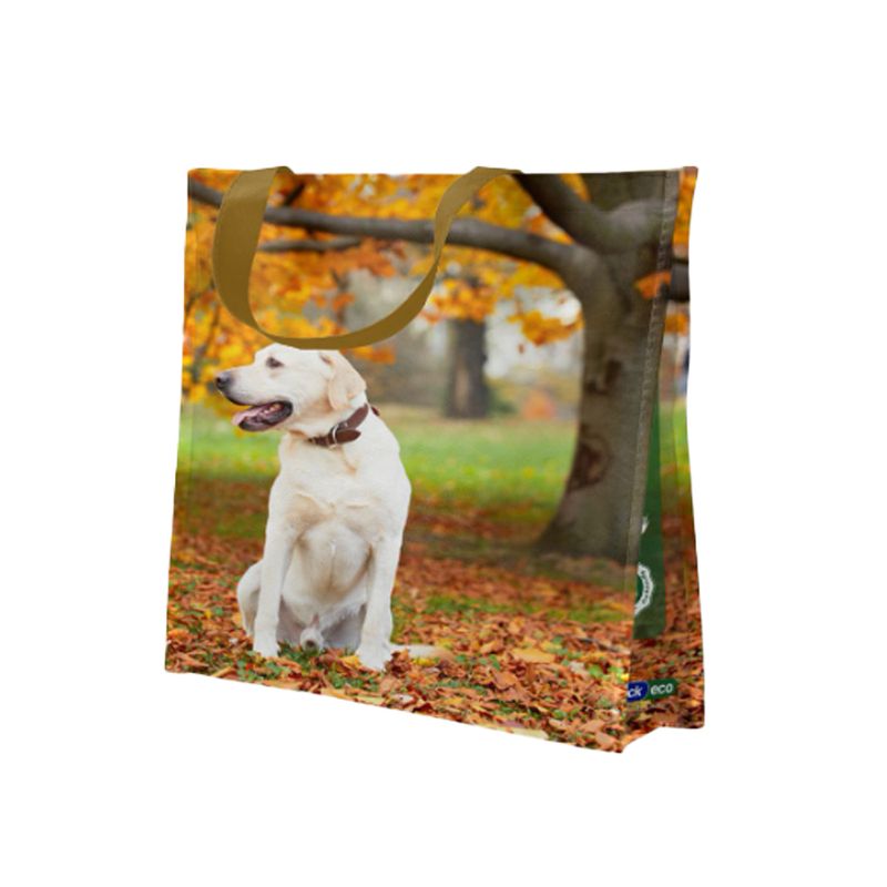 sacola-37x18x35-reutilizavel-bompack-eco-varios-modelos-114334-114334