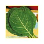 semente-couve-isla-manteiga-da-georgia-10gr-792-121-31-114362-114362