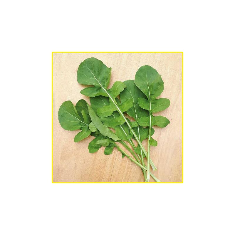 semente-rucula-isla-cultivada-antonella-5gr-2746-255-31-114404-114404