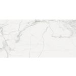 piso-porc-elizabeth-60x120-statuario-classico-ac-119487-119487