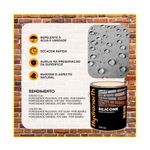 silicone-hidrofugante-hydronorth-incolor-lata-18l-0005896-120978-120978